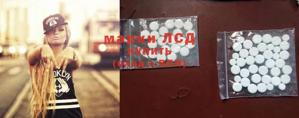 стафф Алзамай