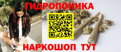 прущие грибы Дубна