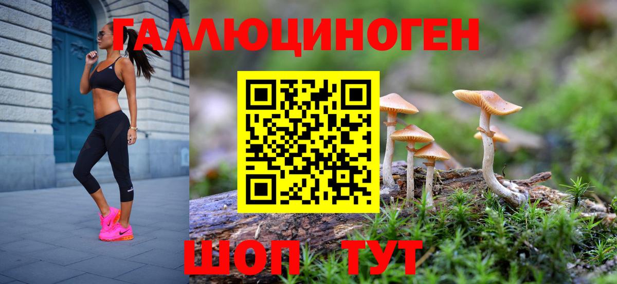 Самара  Псилоцибиновые грибы GOLDEN TEACHER  Псилоцибиновые грибы Psilocybe  Вход с VPN 