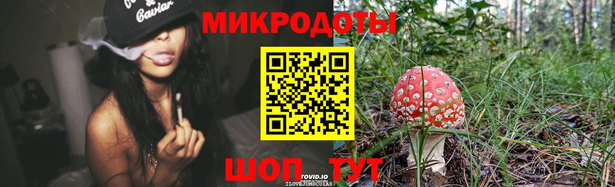 Галлюциногенные грибы мицелий Самара